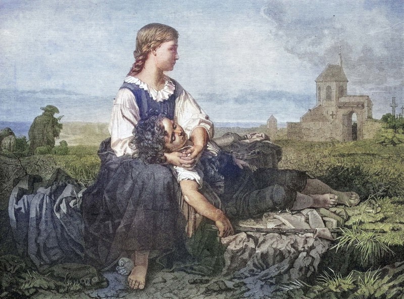 Orphans