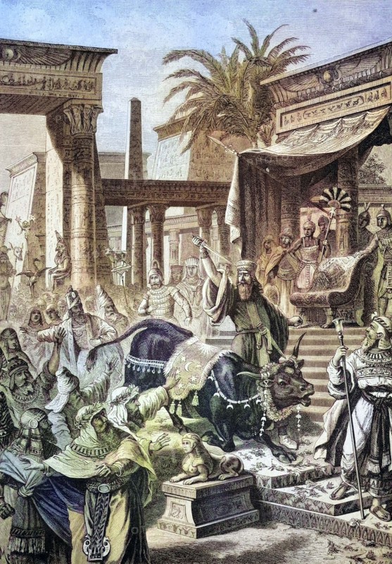 The Persian king Cambyses kills the sacred bull Apis