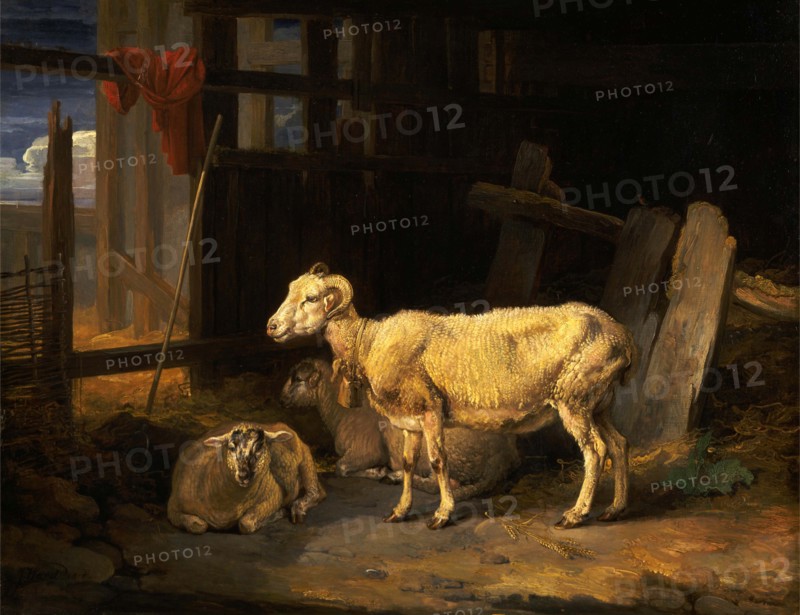 Agriculture