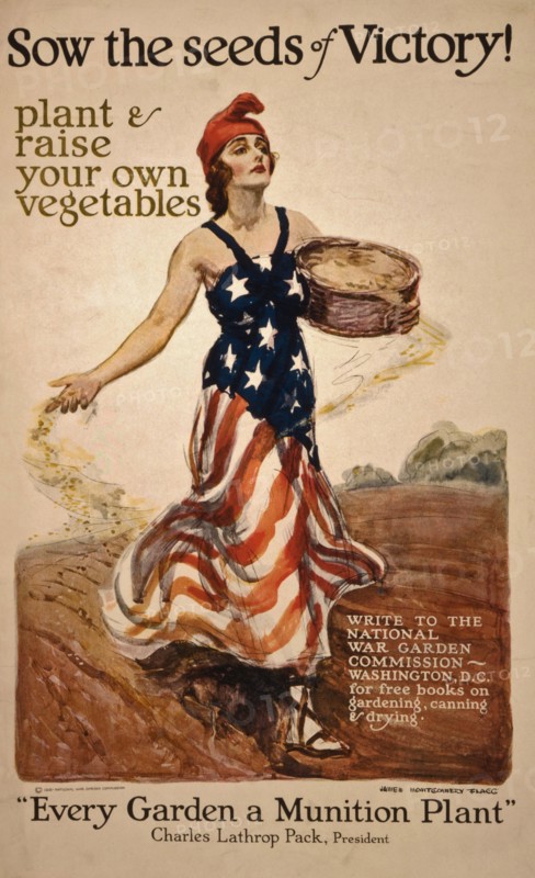 Liberty Sowing Seeds