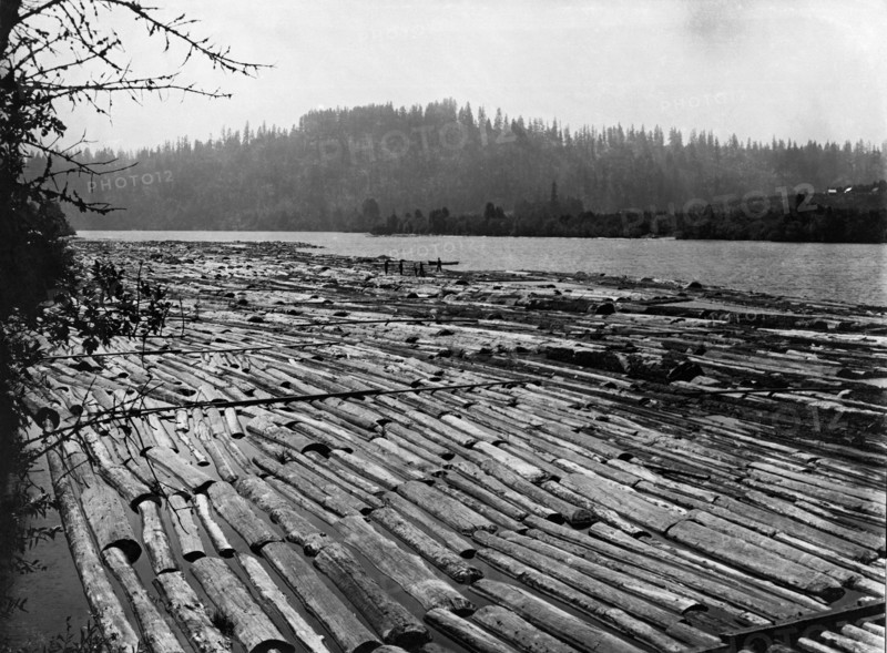 Logging Rafts In Oregon