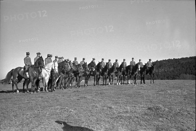 Willow near Chevenez. Cavalrymen riding their horses