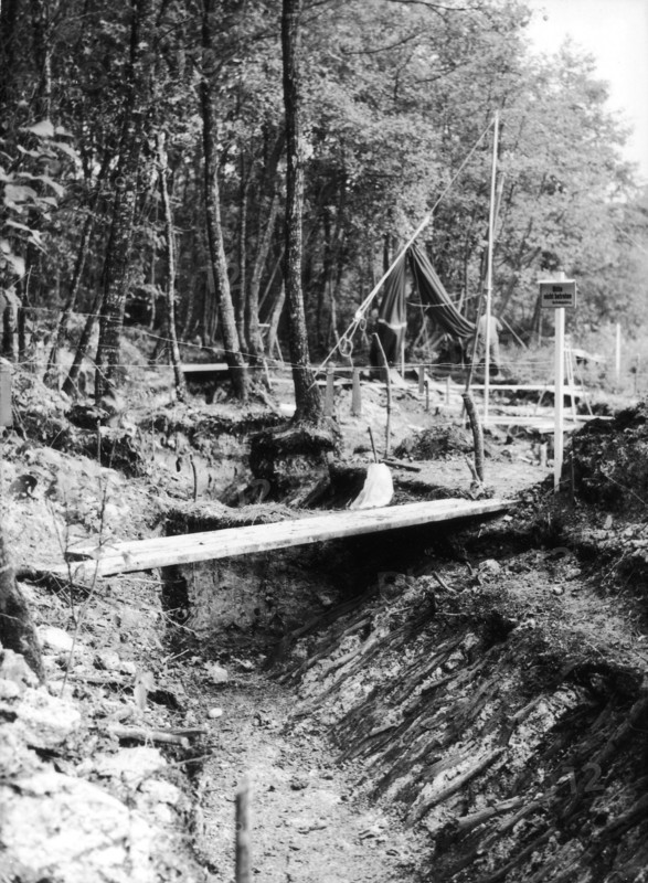 Excavation at the Burgv§schisee.