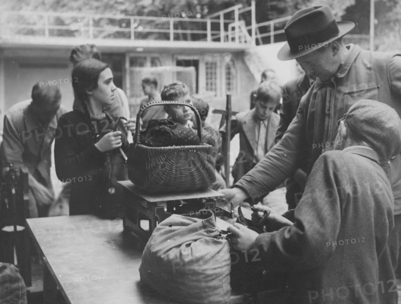 Children supply horse chestnuts and acorns to Dv§hlhv?lzli zoo 1942.