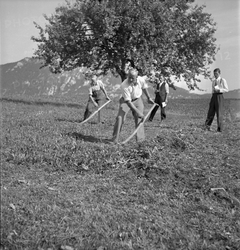 Examination of farmers at Wallierhof, Riedholz 1945.