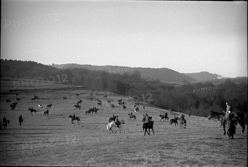 Willow near Chevenez. Cavalrymen riding their horses