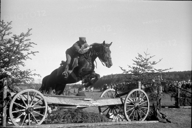 Willow near Chevenez. Cavalryman riding his horse