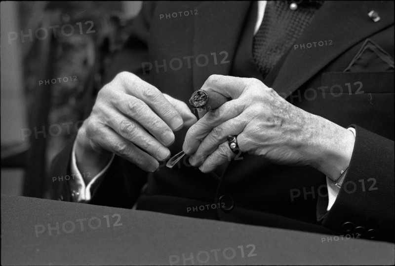 Arthur Rubinstein's hands, Zurich 1977
