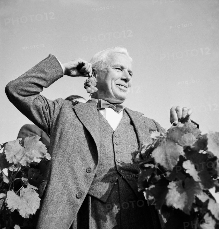 Charles Chaplin in vineyard at the lake of Geneva.
