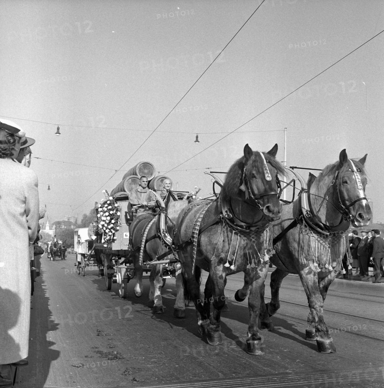 Day of the horse"" in Basel 1956.