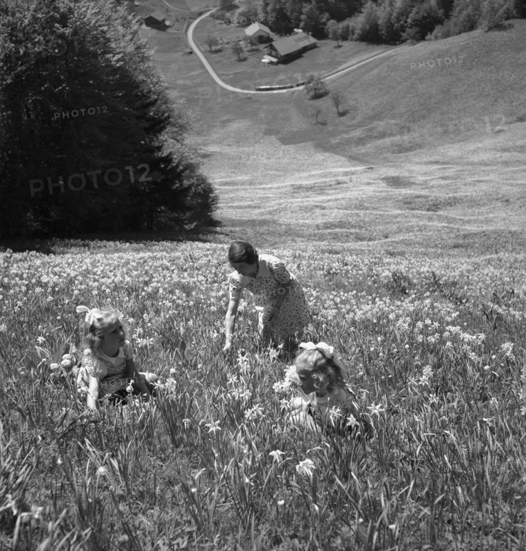 Woman and girls picking wild Montreux narcissus in Les Avants, um 1955.