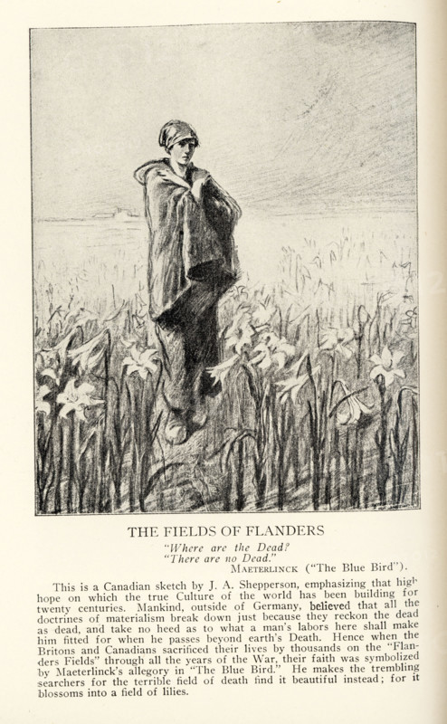 The Fields of Flanders  “Where are the Dead?”  “There are no Dead.”   Maeterlinck (“The Blue Bird”) This is a Canadian sketch by J A Shepperson, emphasizing that high-hope on which the true Culture of the world has been building for twenty centuries. Mankind, outside of Germany, believed that all the doctrines of materialism break down just because they reckon the dead as dead, and take no heed as to what a man’s labors here shall make him fitted for when he passes beyond earth’s Death. Hence when the Britons and Canadians sacrificed their lives by thousands on the “Flanders Fields” through all the years of the War, their faith was symbolized by Maeterlinck’s allegory in “The Blue Bird.” He makes the trembling searchers for the terrible field of death find it beautiful instead; for it blossoms into a field of lilies.