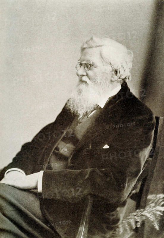 Alfred Russel Wallace (1823-1913) was a British naturalist, explorer, geographer, anthropologist, biologist and illustrator. He is best known for independently conceiving the theory of evolution through natural selection; his paper on the subject was jointly published with some of Charles Darwin's writings in 1858.