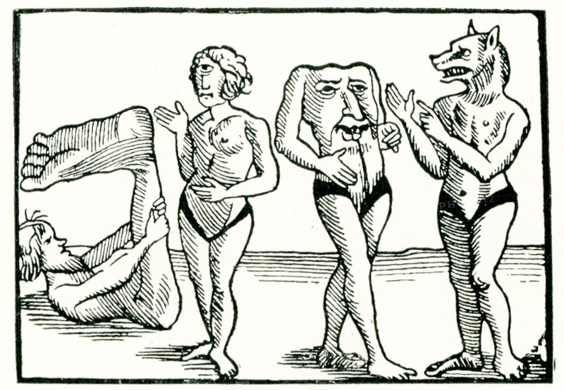 This illustration from Sir John Mandeville shows geographical monsters. Sir John Mandeville is the supposed author of The Travels of Sir John Mandeville, a travel memoir which first circulated between 1357 and 1371. The earliest surviving text is in French. By aid of translations into many other languages, the work acquired extraordinary popularity.