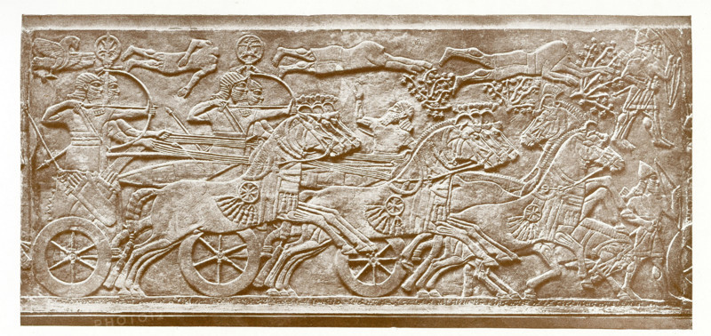 This marble slab shows the horse in warfare. The royal figure is Assyrian king Ashurnasirpal II (died c. 860 B.C.) and  his army is advancing against a besieged town. A battering ram is being drawn on a six-wheeled carriage. The slab is from  Ashurnasirpal II's N.W. palace in Nimrud (ancient Kalhu) in present-day Iraq. It is presently in the British Museum.