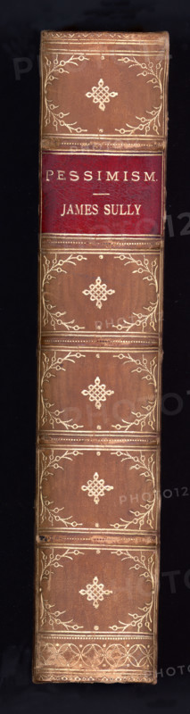 This photo is of the back binding of a rare copy of the bbok Pessimism by James Sully,  an English psychologist who died in 1923. The book, which was bound in leather, was published in 1877.