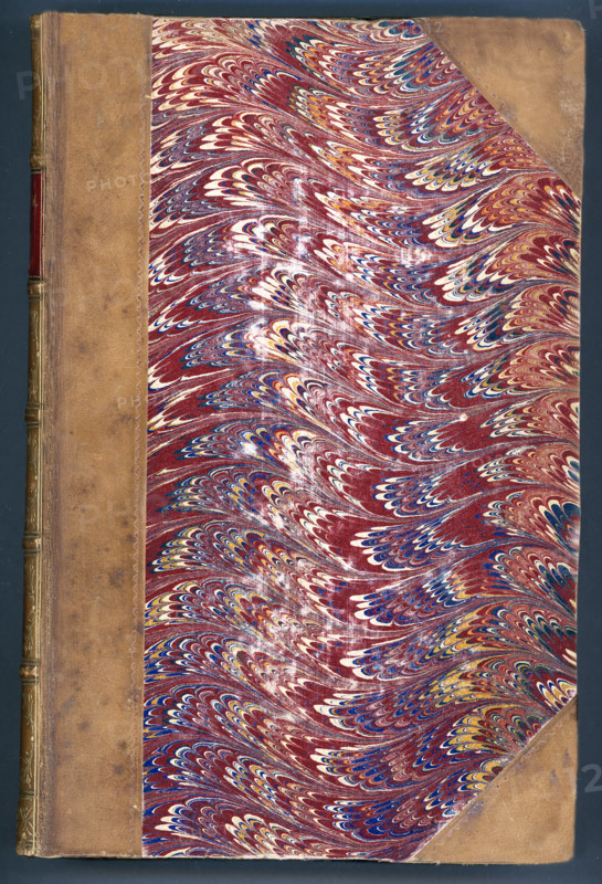 This photo is of the cover of a rare copy of the bbok Pessimism by James Sully,  an English psychologist who died in 1923. The book, which was bound in leather, was published in 1877.