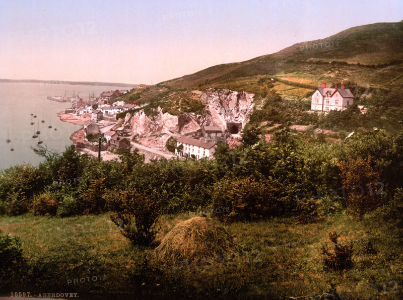 Overall View