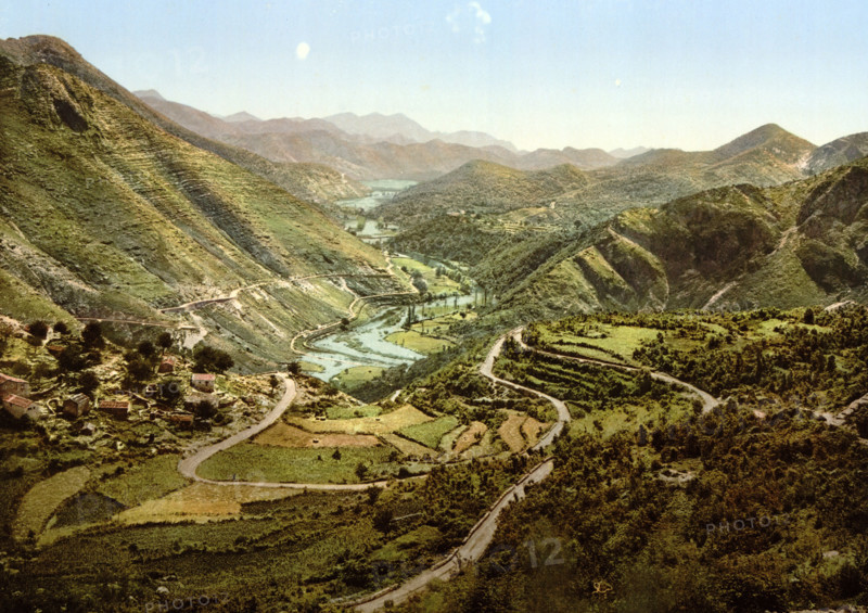 Overall Overview