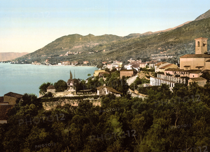 Overall View