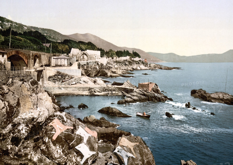The Coast