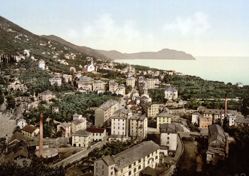 Overall View