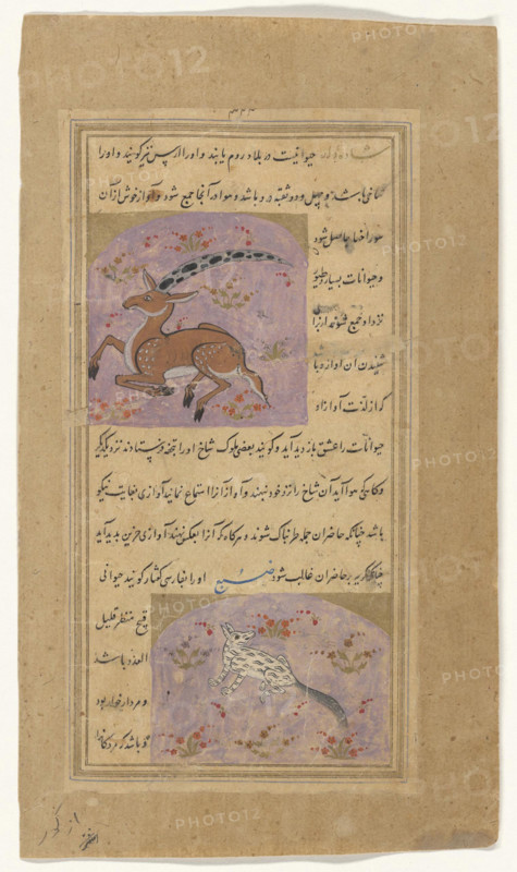 Mythical creature. A species of unicorn found in remote areas of Rum, Turkey. It has a single horn with holes so that a melody is played when the wind blows, dating, ca. 1540-1545, Historical, digitally restored reproduction from a 19th century original.