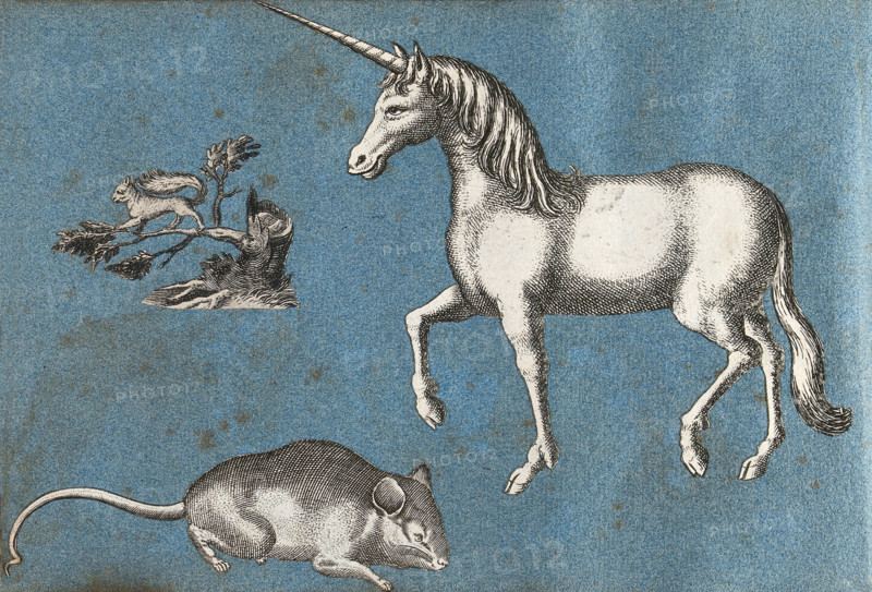 unicorn, a squirrel and a mouse. Cut-out engravings glued to paper, created between 1600 and 1699, historical, digitally restored reproduction of an original from the 19th century.
