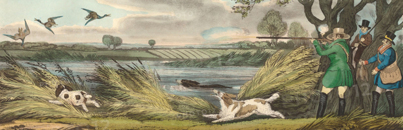 Wild Duck Hunt, 1825, England, Historical, digitally restored reproduction from an original from the 19th century.