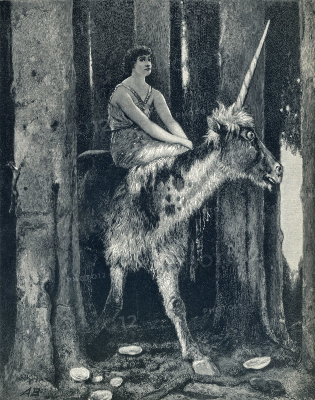 Unicorn in Woods