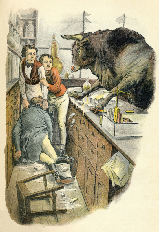 Bull in Shop