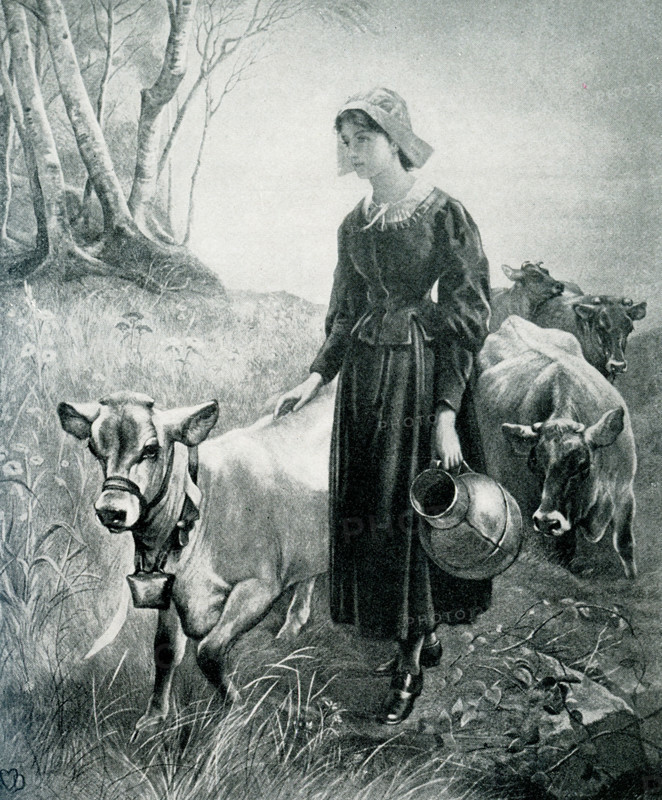 The 1903 caption reads: ""Evangeline from painting by Douglas."" Evangeline, a Tale of Acadie, is an epic poem by the American poet Henry Wadsworth Longfellow. Evangeline was an Acadian girl and the story tells of her search for her lost love named Gabriel. It is set in the time of the Expulsion of the Acadians. The expulsion was the forced removal of the Acadian people by the British during the French and Indian War (1755-1764). They were removed from the Canadian Maritime Provinces of Nova Scotia, New Brunswick, Prince Edward Island, and part of Maine. It was written in English and published in 1847. Here, Evangeline is shown tending cows. Edwin James Douglas (died 1914) was a Scottish animal and portrait painter.