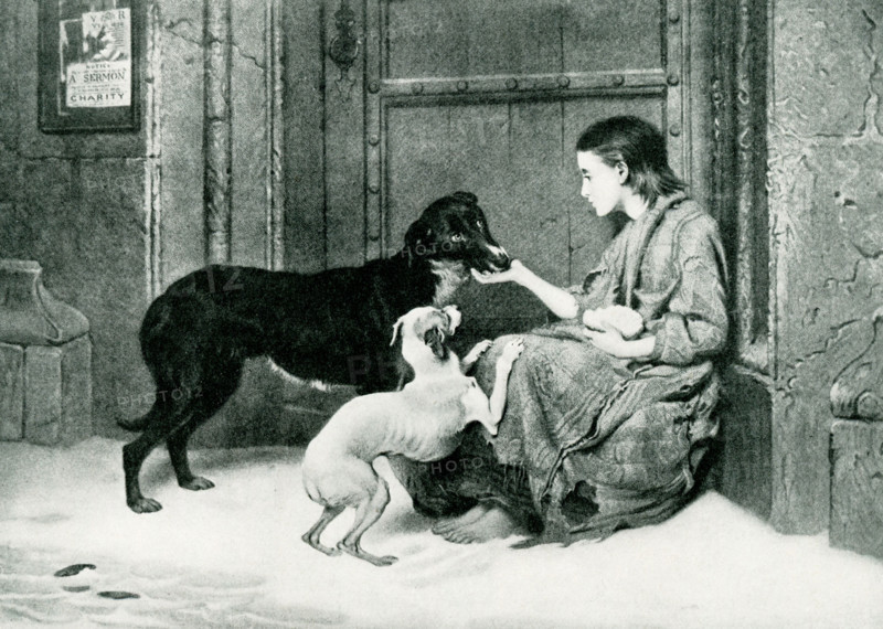 This painting, titled Charity, was done by Briton Riviere in 1872. A little girl in ragged clothes sitting barefoot in the snow, on the right, against a large wooden door, feeding two stray dogs from a small piece of bread she holds. There is a poster on the wall to left that includes the following text 'V R / Year 1870 / Notice .. A Sermon / .. Charity'. Briton Riviere was a British artist of Huguenot descent. He exhibited a variety of paintings at the Royal Academy, but devoted much of his life to animal paintings.