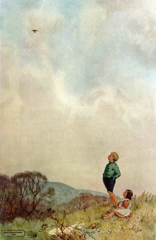 Skylark Sings