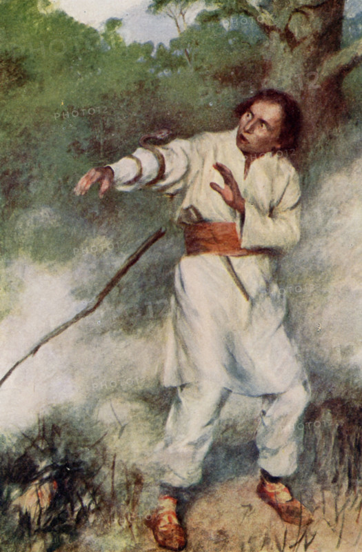 The caption for this illustration reads: The snake entwined itself swiftly round his arm. The tale tells of a shepherd who saw a snake surrounded by a raging fire. He put out his arm, the sname wound himself around it, as seen here, and escaped. The two then visited the snake's father, the king of serpents, who gave the shepherd the gift of understanding animal language as a reward. The shepherd used it to his advantage. The illustration is from a 1921 book on Serbian myths and legends.