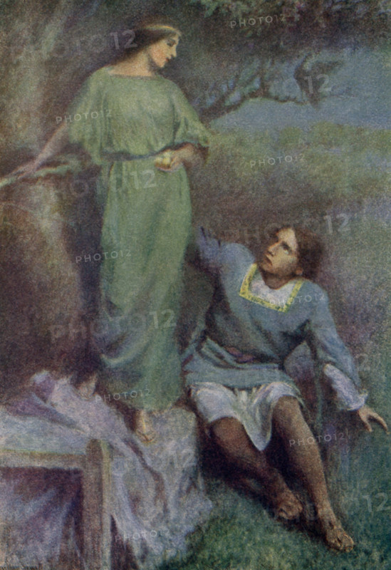 The caption for this illustration reads: The Pea-hen turns into a maiden. According to the tale, a king had three sons and a tree that produced golden apples, but a thief stole them every night. Two of sons failed to catch him, third was able to outwit the thief: nine peahens would come down and eight pecked the apples, but the ninth turned into a beautiful princess, as seen here. The princess gave the third prince two golden apples for the king. The illustration is from a 1921 book on Serbian myths and legends.