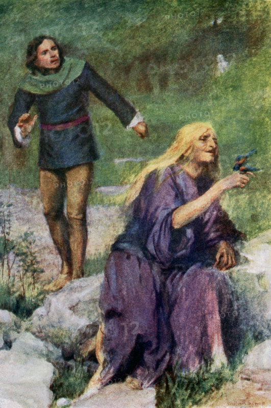 The caption for this illustration reads: The old woman was absorbed in playing with the bird. A king had a son and wanted a suitable bride for him. After no luck, the prince decided to kill himself, but a voice told him to find an old woman with gold hair, grabher hiar, and take the bird she is holding. The prince does so (as seen here) and the old woman becomes a princess - they marry and live happily. The illustration is from a 1921 book on Serbian myths and legends.