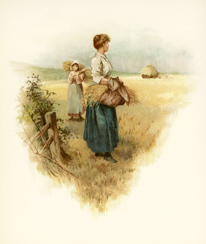 The caption for this illustration reads: Still keep the green earthe tender, still keep the grey earth strong. Here two women are working in the hay fields. The scene is fall and harvest time. It  accompanied Phillips Brooks's Poems.  Brooks was an Episcopalian minister in Boston in the late 1800s.