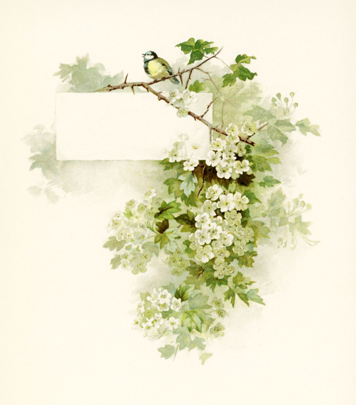 This illustration of flowers with a bird in the branches accompanied Phillips Brooks's Poems  (c. 1886) by Phillips Brooks (1893).