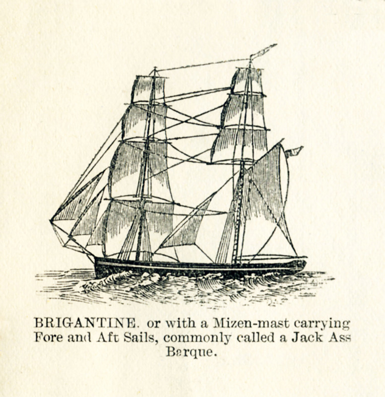 The vessel pictured in this 19th-century drawing is a brigantine, or with a mizen-masy carrying fore and aft sails, commonly called a Jack Ass Barque.