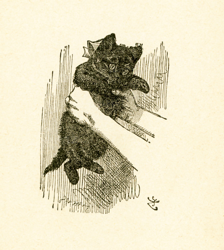 This illustration of Alice holding a red kitten is from ""Through the Looking-Glass and What Alice Found There"" by Lewis Carroll (Charles Lutwidge Dodgson), who wrote this novel in 1871 as a sequel to ""Alice's Adventures in Wonderland."".