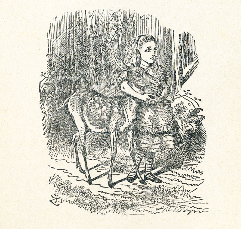 This is a scene from what Alice saw once she went through the Looking Glass and into the Looking Glass room in Lewis Carroll's ""Through the Looking Glass."" here, Alice has her arm around the neck of a Fawn that had come wandering by.
