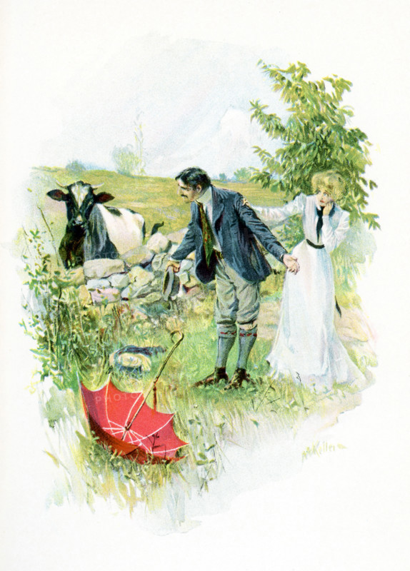The seven-year-old rajah is smuggled out by three faithful followers - two Hindus and one American. The boy was brought to a Connecticut farmhouse and given the name Amos Judd. As he grew up, he had the amazing ability to foresee events. The caption accompanying this illustration in the novel: I thank you, Bull, for chasing me into Molly Cabot's heart. Amos Judd had protected Molly from the bull - and thrown the red parasol at the bull - deflecting his attention and so winning her admiration,.