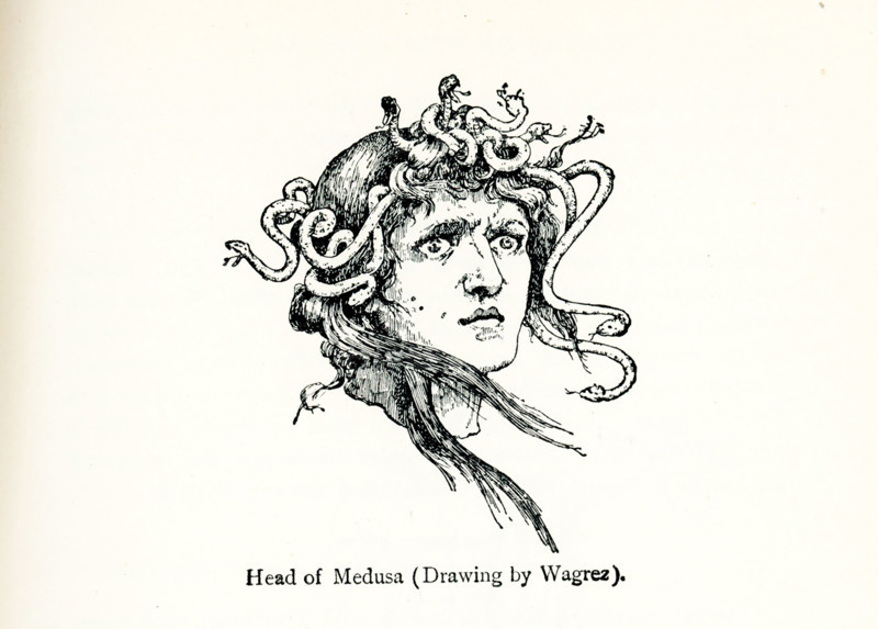 This drawing of the head of Medusa was done by the French artist Jacques Wagrez. To protect his mother, Danae, the mythical Greek hero Perseus accepted the task assigned him by a king named Polydictes of slaying the monster Medusa, whose hair was snakes and whose eyes turned all to stone who gazed at them. Wagrez was a French 19th Century painter who was born in Paris about 1850 and died in 1908.
