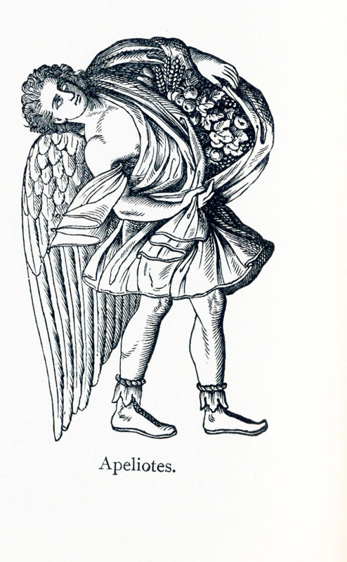 The figure pictured here, according to Greek mythology, is Apeliotes, god of the southeast wind, which was associated with good rain. Thus in art he was shown carrying fruit and draped in a cloth that concealed flowers or grain. Usually he was shown holding a ship's sternpost because when the wind blew form the southwest into Athens' port harbor of Piraeus, ships could not sail. Zephyrus was the god of the west wind. Zephyrus was the gentlest of the winds and considered a harbinger of springtime. He was pictured with flowers that indicated a mild light breeze. Eurus, or Euros, was the god of the east wind. The folds of his clothes suggested heavy clouds. The Greeks honored eight wind gods. The other four were Boreas (cold north wind), Kaikias (northeast wind), Notos (south wind), and Skiron (northwest wind).