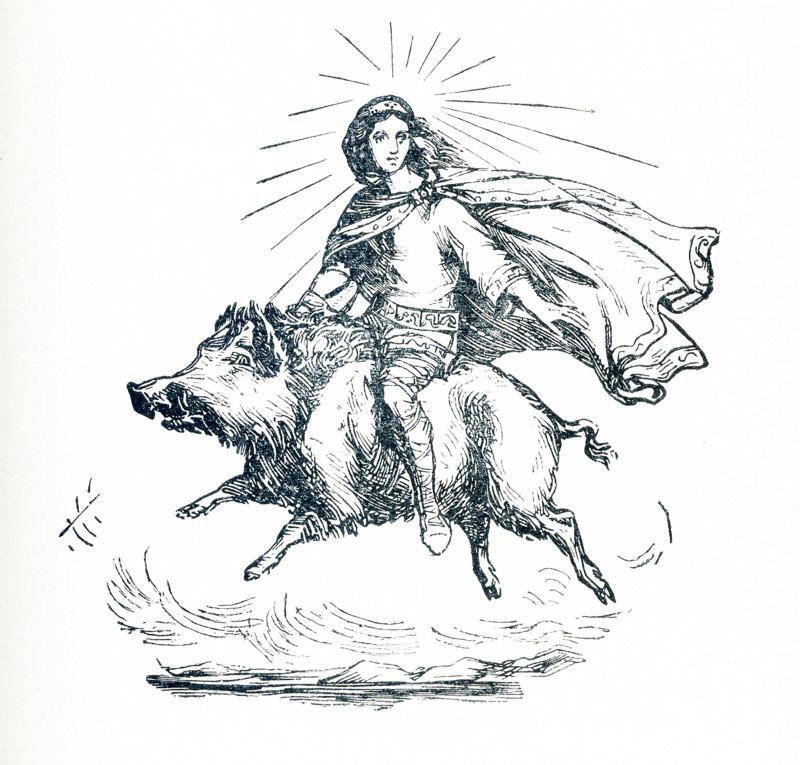 The Norse Freyr (also spelled Freye and Frey) was the brother of Freyja, the goddess of fertility, love and marriage, and light and peace. Freyr was associated with agriculture, the weather, and fertility. Freyr was also associated with horses. This illustration dates to around 1898 and shows Freyr riding the wild boar Gullinbursti (Gold Mane or Golden Bristles).