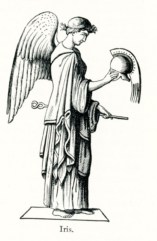 Iris was the goddess of the rainbow and the messenger of the gods of Mt Olympus. She was often described as the handmaiden and personal messenger of Hera. Iris was a goddess of sea and sky.