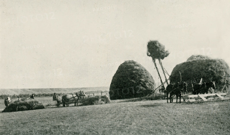 This photo dates to the early 1920s. Its caption reads: Stacking Hay by Modern Methods. A scene on the YU ranch, Big Horn County Wyoming.