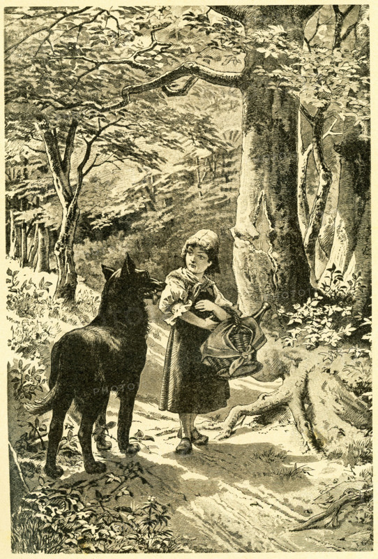 Little Red Riding Hood