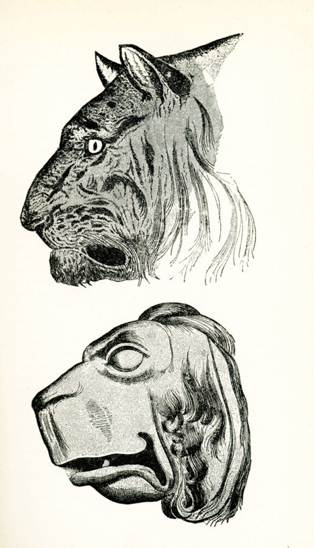 This illustration of these tiger's heads is from John Ruskin's essay ""The Seven Lamps of Architecture,"" published in 1849. The caption in Ruskin's book reads: Tiger's Head and improvement of same on Greek principles- Ruskin wrote first drawn from life, 2nd based on Greek ideal beast. John Ruskin was the leading English art critic of the Victorian era, as well as an art patron, draughtsman, watercolorist, philosopher, prominent social thinker and philanthropist. He wrote on subjects as varied as geology, architecture, myth, ornithology, literature, education, botany and political economy. The 'lamps' of the title are Ruskin's principles of architecture.